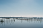 20190203-barnimages-3