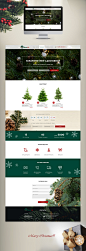 Landing page for "SantaGo" (Delivery Christmas trees) : Landing page for "SantaGo" (Delivery Christmas trees)