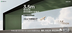LEO-飞扬采集到版式
