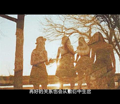 献给我们的小时代采集到炫