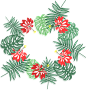 [美工云]Tropical-plant-flowers矢量热带植物元素_PNG：