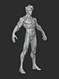 Stylized Warrior Anatomy Blockout