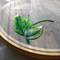 @shanxuhandmade -  Green green green!.
#shanxuhandmade 
#embroiderywork #embroidery #handmade #handcraft #stitches #tambour #bordado #broderie #needlework #threadpainting #leaves  #plants #green #nature #art #homedecor #artdeco #chineseembroidery #poppy #