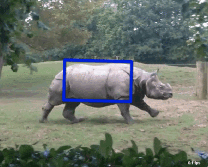 boxrhino