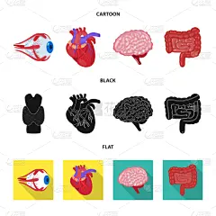 生物学,科学,分离着色,标志,人造物,健康保健,视力,角膜,植物群,思考