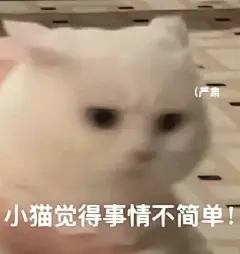 uu们，求模糊可爱小猫表情包