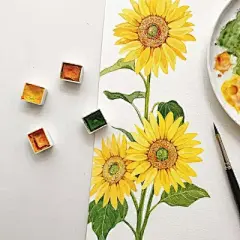 水彩---向日葵 - 高清图片，堆糖，美图壁纸兴趣社区