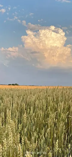 风景壁纸 - 高清图片，堆糖，美图壁纸兴趣社区