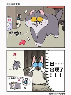 公司的猫咪聚会2（上）_4_阿满和麦茶_来自小红书网页版