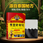 泰国筋骨贴 膏贴包装设计