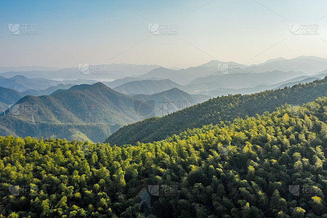 中国浙江莫干山竹林鸟瞰图