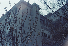笑寒owl采集到城市景象