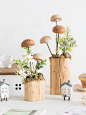阿楹 森系田园创意蘑菇工艺品绿植摆件 家居置物架装饰布置小物件-淘宝网