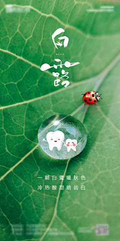 繁花Ahriys采集到牙齿节日画板