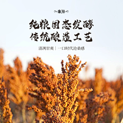 寻光~采集到个人作品