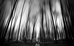 宽屏黑白梦幻光影伤感电脑桌面壁纸桌面壁纸1