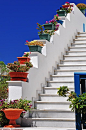 Greek Tradition - Flower Pot Steps Take The Stairs, Stair Steps, Backyard, Patio, Stairway To Heaven, Santorini Greece, Perfect World, Mediterranean Style, Greek Islands