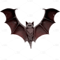 手绘-暗黑风恐怖动物元素-蝙蝠3