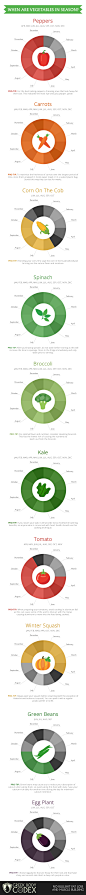 When Are Vegetables in Season? infographic