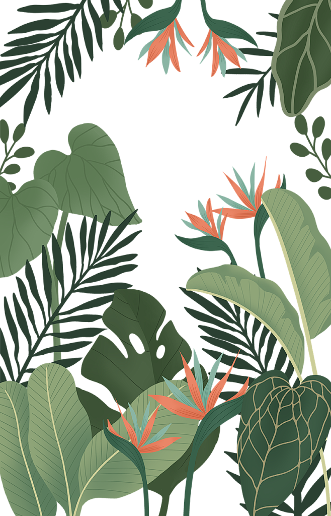 热带雨林植物天堂鸟树叶手绘图海报设计素材...