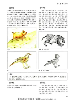 山海经彩色版_00024