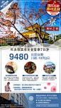 日本旅游微信广告