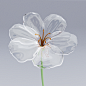 Precious Fragility 3D glass flower model on Behance
---------------------------------------
我在使用【率叶插件】，一个让花瓣网”好用100倍“的浏览器插件，你也来吧！
> https://app.lvyex.com/?yqr=15132514
---------------------------------------
我在使用【率叶插件】，一个让花瓣网”好用100倍“的浏览器插件，你也来吧！
> h