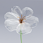 Precious Fragility 3D glass flower model on Behance