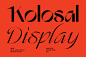时尚复古品牌海报徽标设计衬线英文字体安装包 Kolosal Display插图