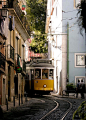 Alfama, Lisbon, Portugal (by Sylvia)。葡萄牙里斯本阿尔法玛旧城区，是里斯本最古老的城区，分布在圣若热城堡和特茹河之间的山坡地带。其名称来源于阿拉伯语 Alhamma，意为喷泉或浴室。该区拥有许多重要历史名胜，许多法朵酒吧和餐馆。在摩尔人统治时期，阿尔法玛就是整个城市。后来城市扩展到西面的Baixa。阿尔法玛成了渔民和穷人居住区。1755年里斯本地震没有摧毁阿尔法玛，它仍然是一个美丽如画的由狭窄街道和小广场构成的迷宫。近来，该区的老房子进行修复，开设餐馆，可以在此享受著名