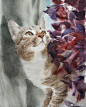 Konstantin Sterkhov的水彩猫咪