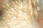 Blurry golden glitter background texture