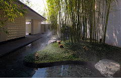 wandou3000采集到种植意向
