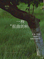闻物NatureRelic • 小红书 / RED