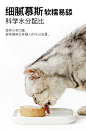 【热销推荐】LORDE里兜猫罐头主食罐猫咪零食营养增肥猫湿粮-tmall.com天猫