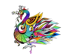 凤凰 插画