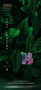 小暑