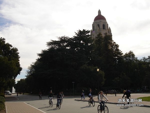 斯坦福大学, 佐伊旅游攻略