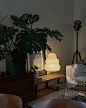 Photo by helen | interior | living on January 21, 2024. May be an image of lighting, lamp, armchair, house plant, lamp shade, chaise lounge, living room and indoors.