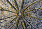 aerial-photography-air-pano-10
Arc de Triomphe, Paris, France