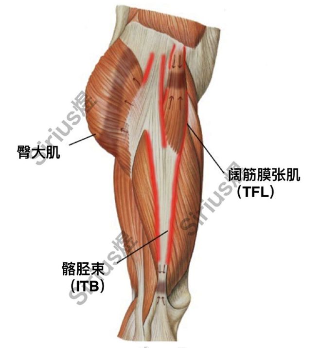 点击查看图片来源