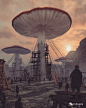 Mike Winkelmann