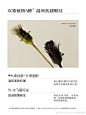 @AromeManpo馥郁满铺 的个人主页 - 微博