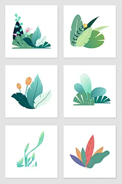 植物插画2