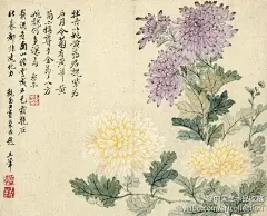 【 清 恽寿平 《瓯香馆写生册》② 】落色点花的没骨花，既不同于细线勾勒再层层渲染的工笔花卉，也不同于水墨淋漓的大写意花卉，它介于两者之间，也称“小写意”花卉。工笔求逼真，写意求意趣，恽氏没骨花所求正在“似与不似之间”。图（选5—10）：枇杷、卷丹、洛阳花、凤仙花、菊花、梅花