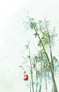 古风竹子
梅兰竹菊
无月绘
