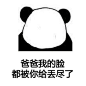 表情包  爸爸我的脸都被你给丢尽了
