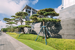 方承2019采集到PL-居住区绿化