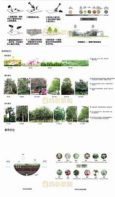 植物配置分析排版-花瓣网|陪你做生活的设计师 | 图片