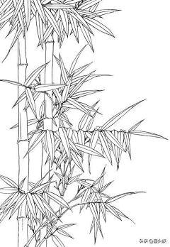 暗～夜采集到线描